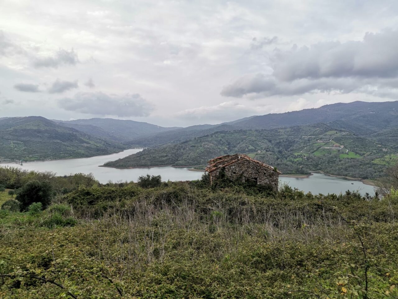 ostigliano