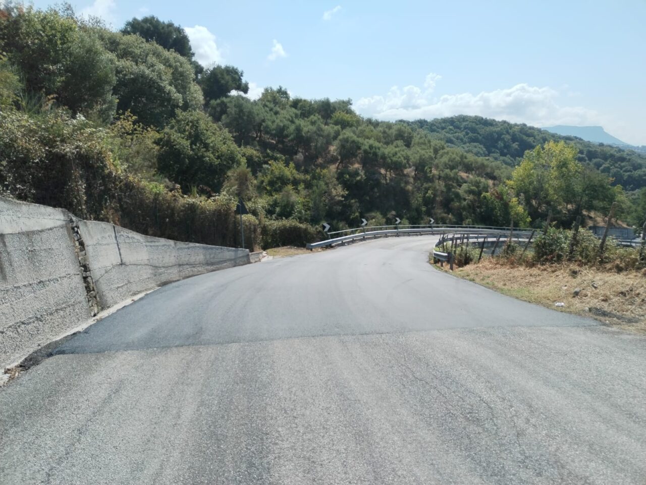Immagine WhatsApp 2024-08-30 ore 16.38.36_0c7480c7
